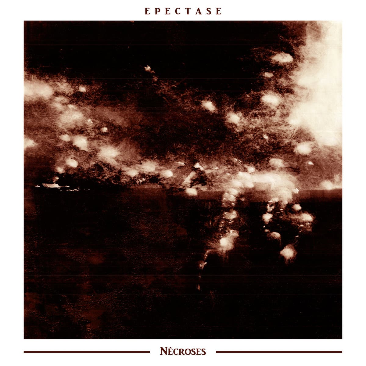 Nécroses