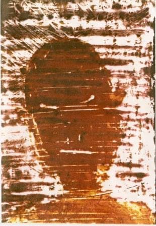 "Shapeshifter # 2"