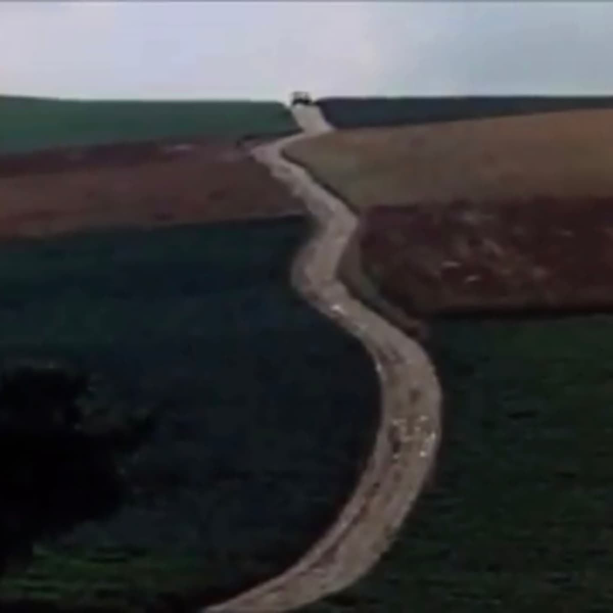 Hillside