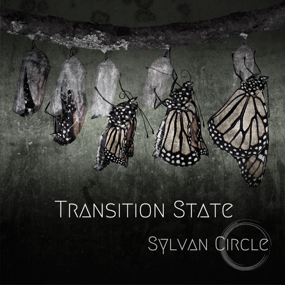 Transition State