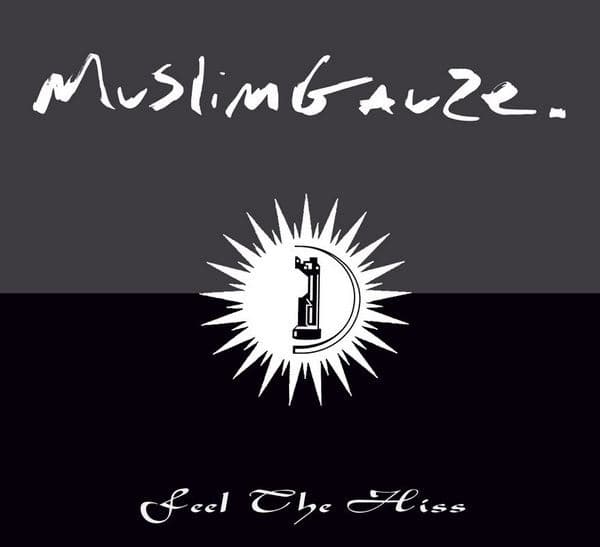Zilver / Feel the Hiss