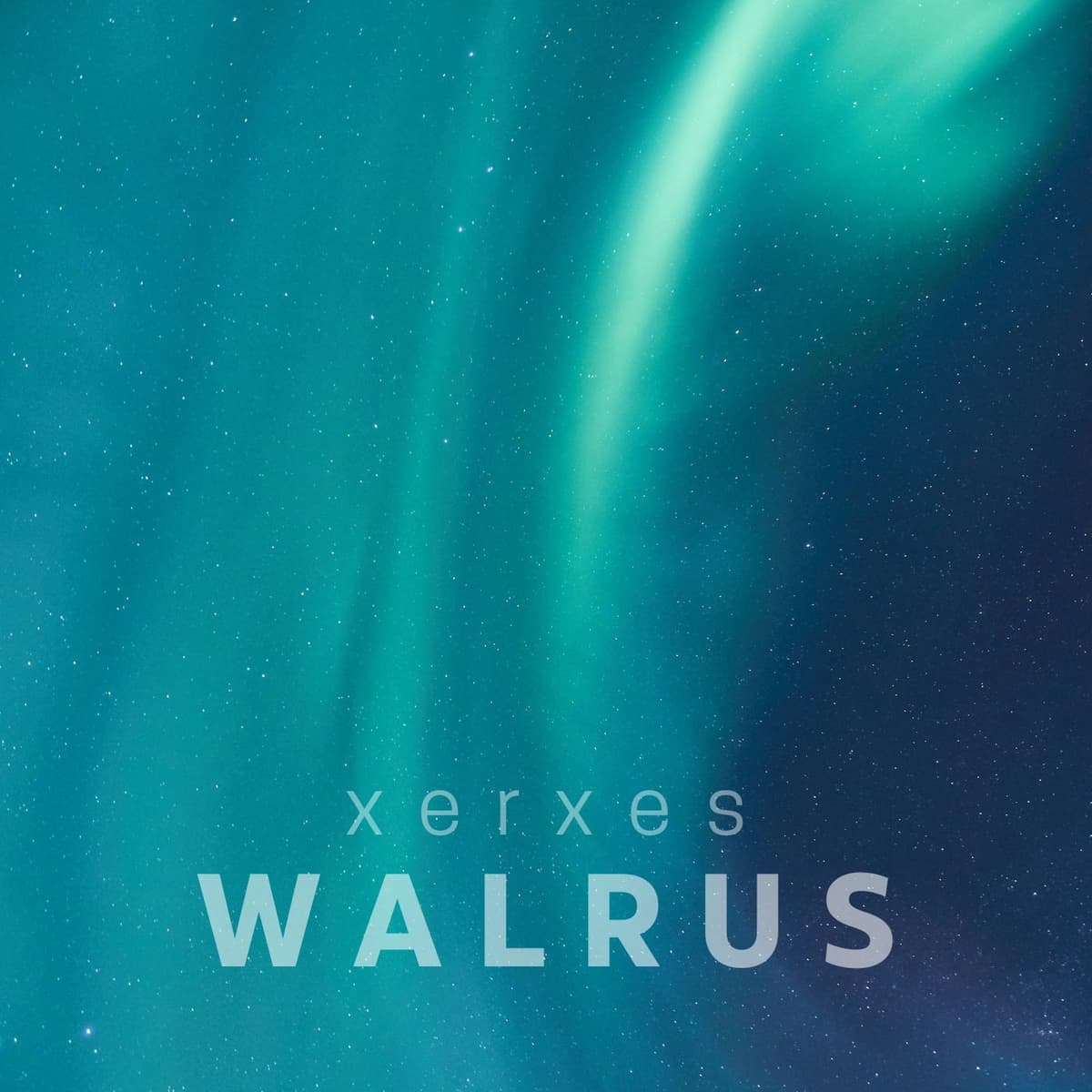 Walrus