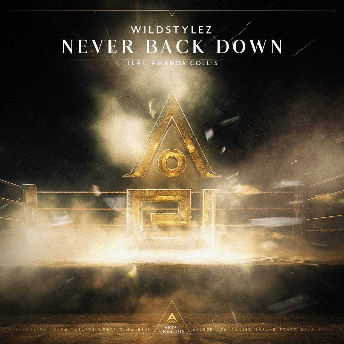 Never Back Down