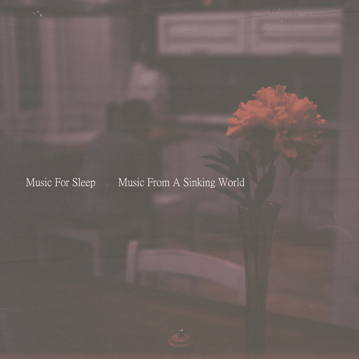 Music From a Sinking World