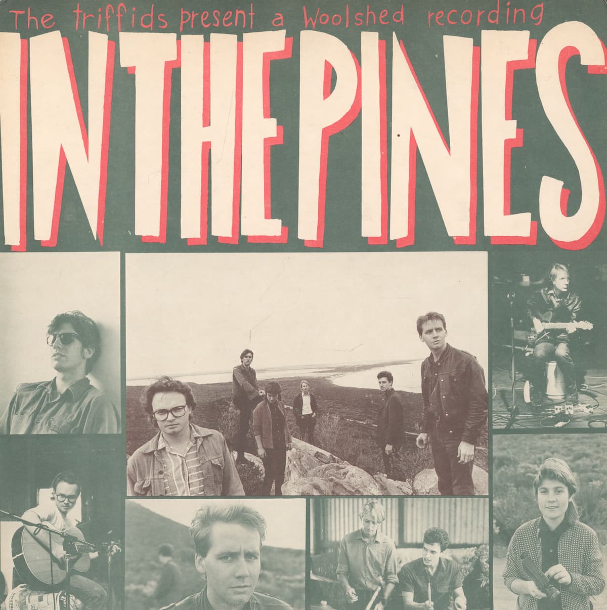 In the Pines