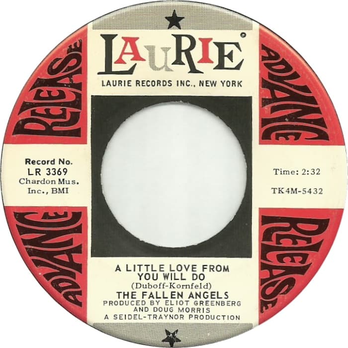 A Little Love From You Will Do / Have You Ever Lost A Love
