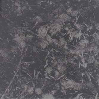 Poisoned Soil