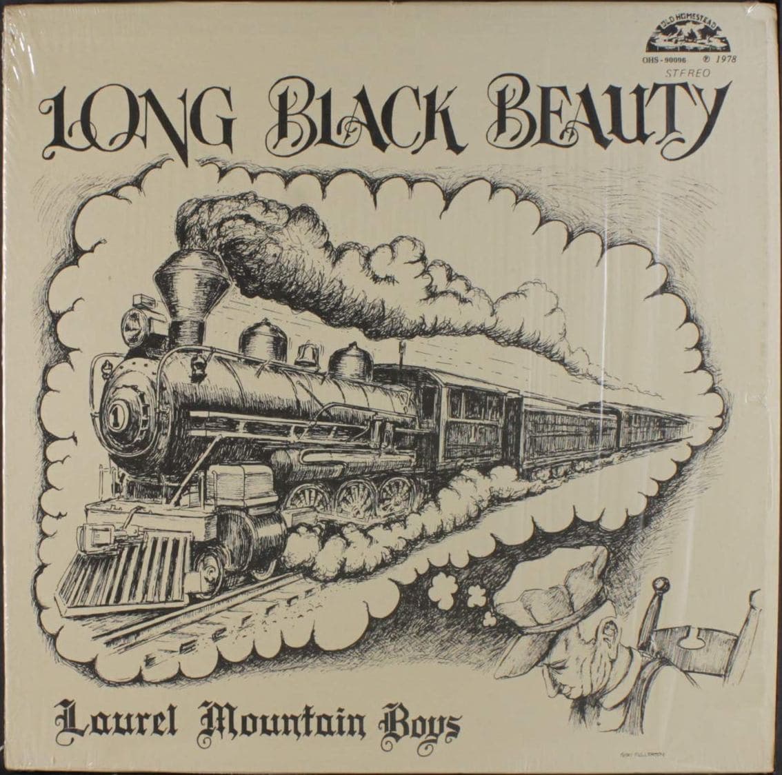 Long Black Beauty