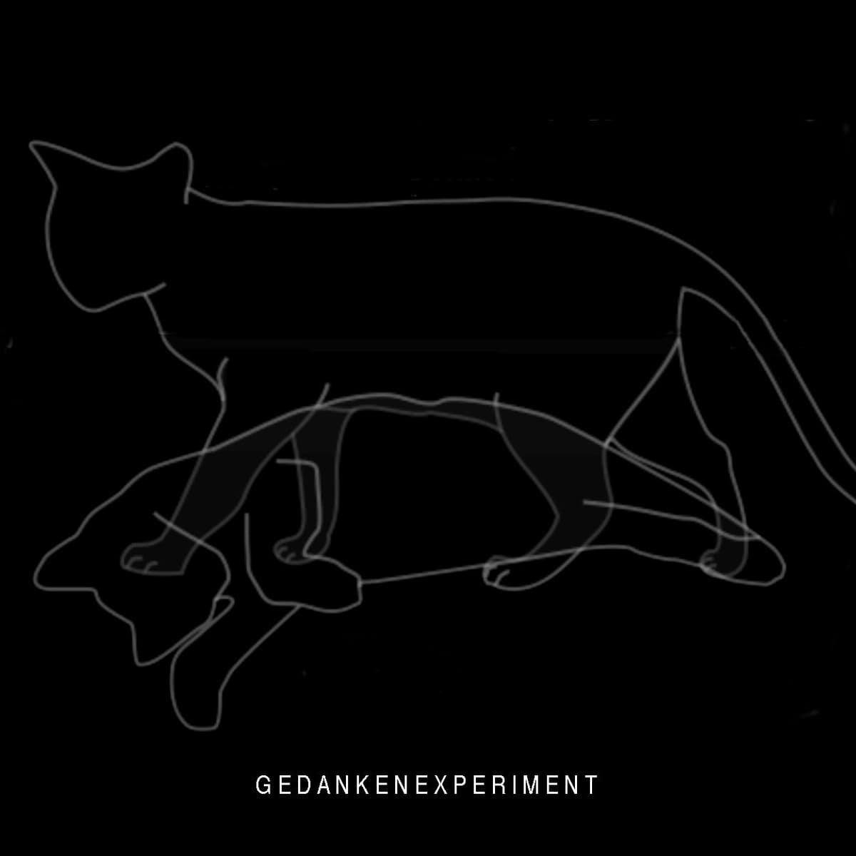 Experiment Defined