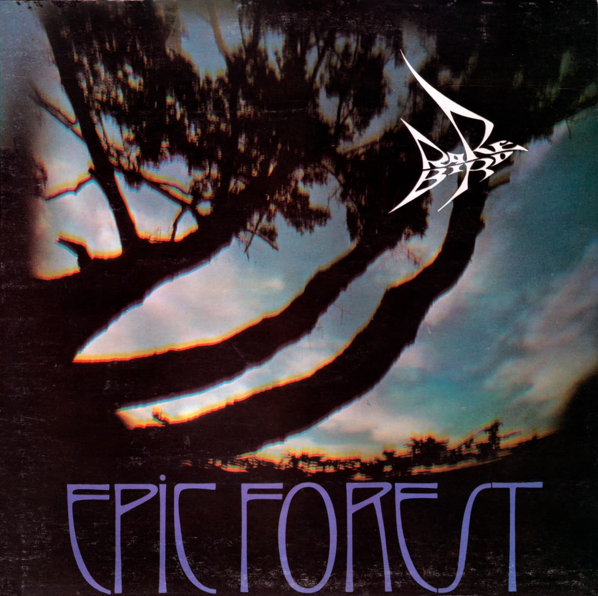 Epic Forest