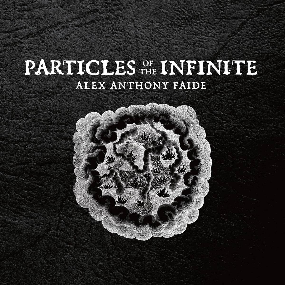 Particles of the Infinite