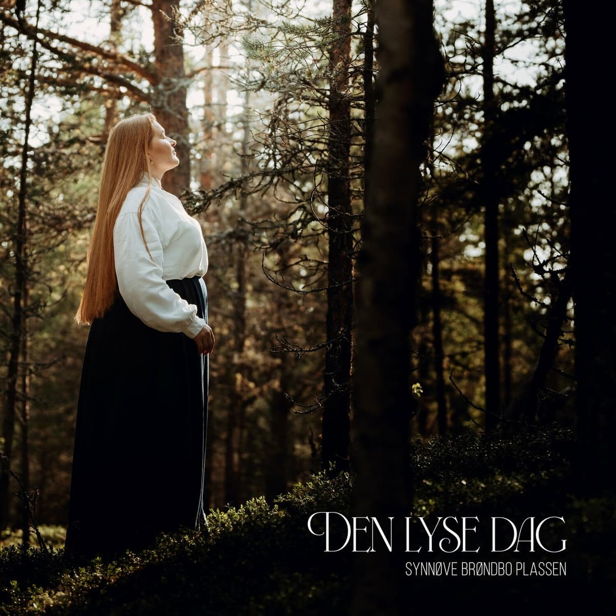 Den lyse dag