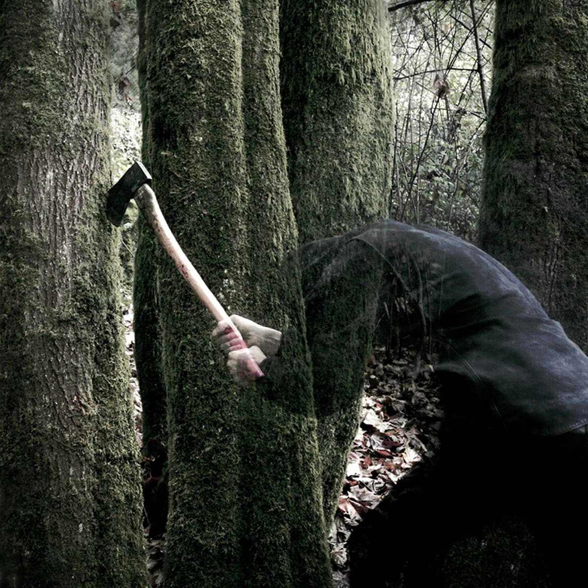 Bushcraft