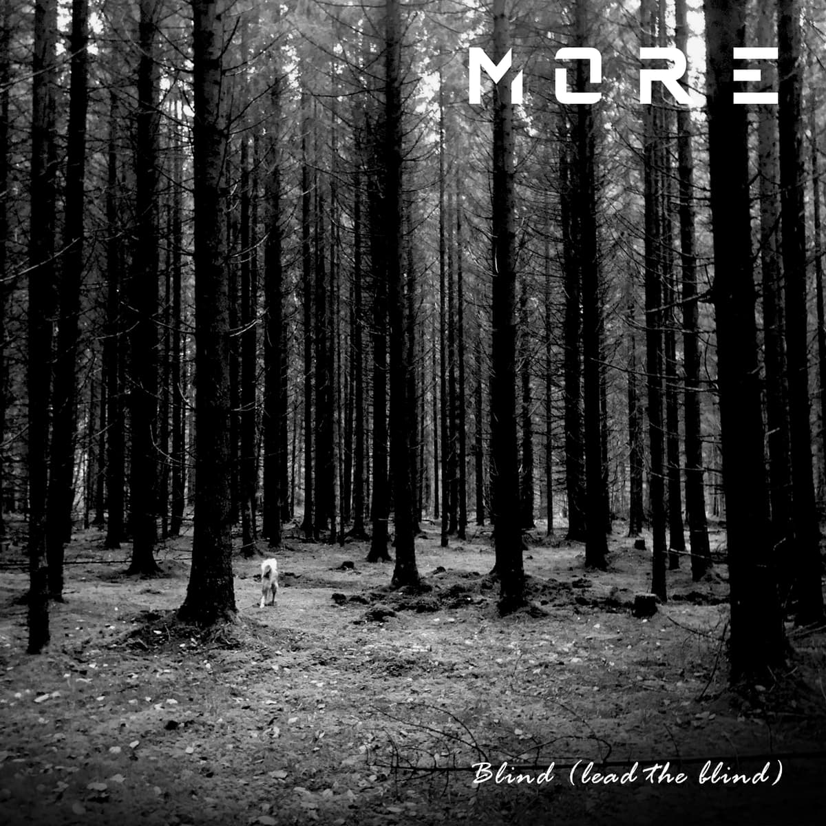 Blind (lead the blind)