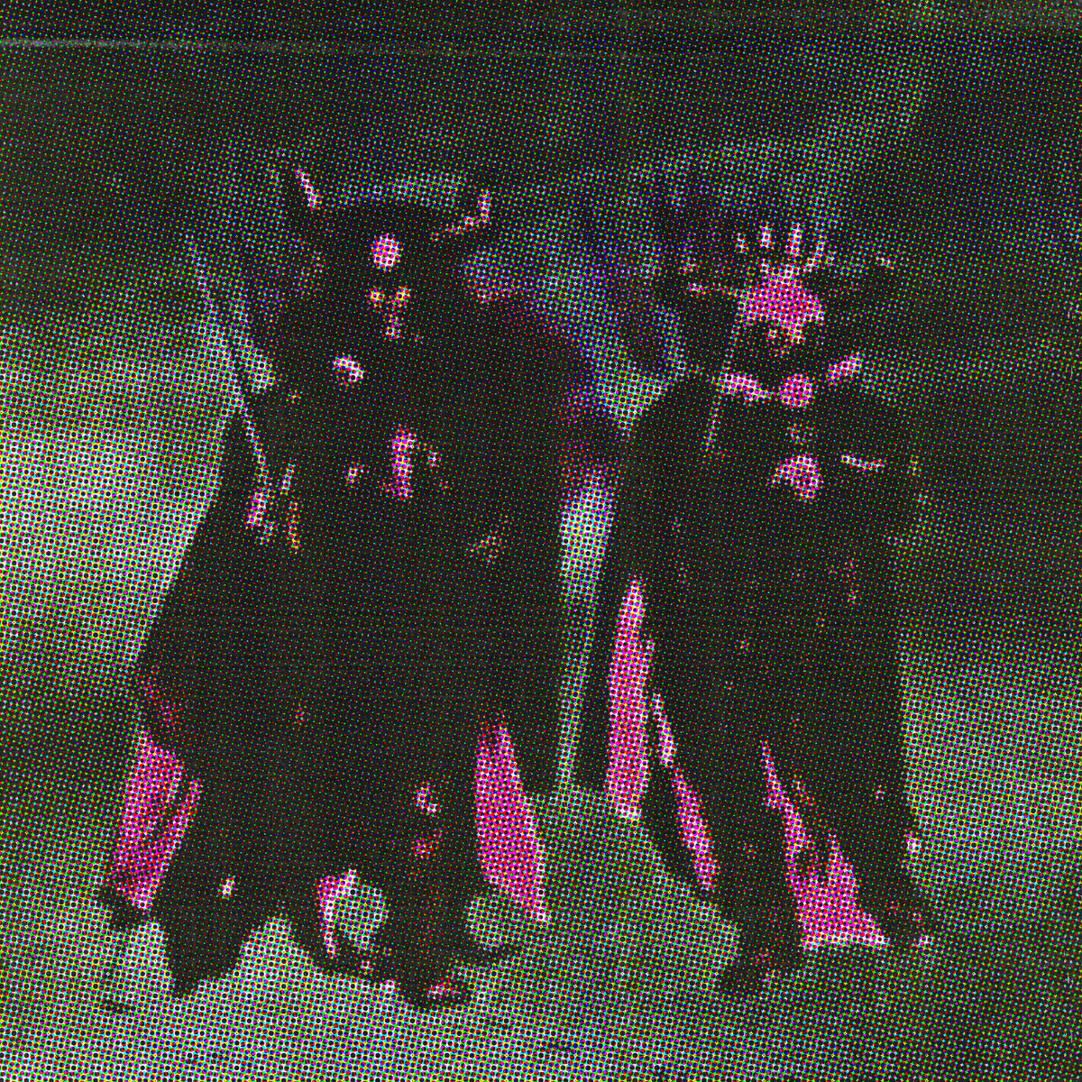 Haunted Heads