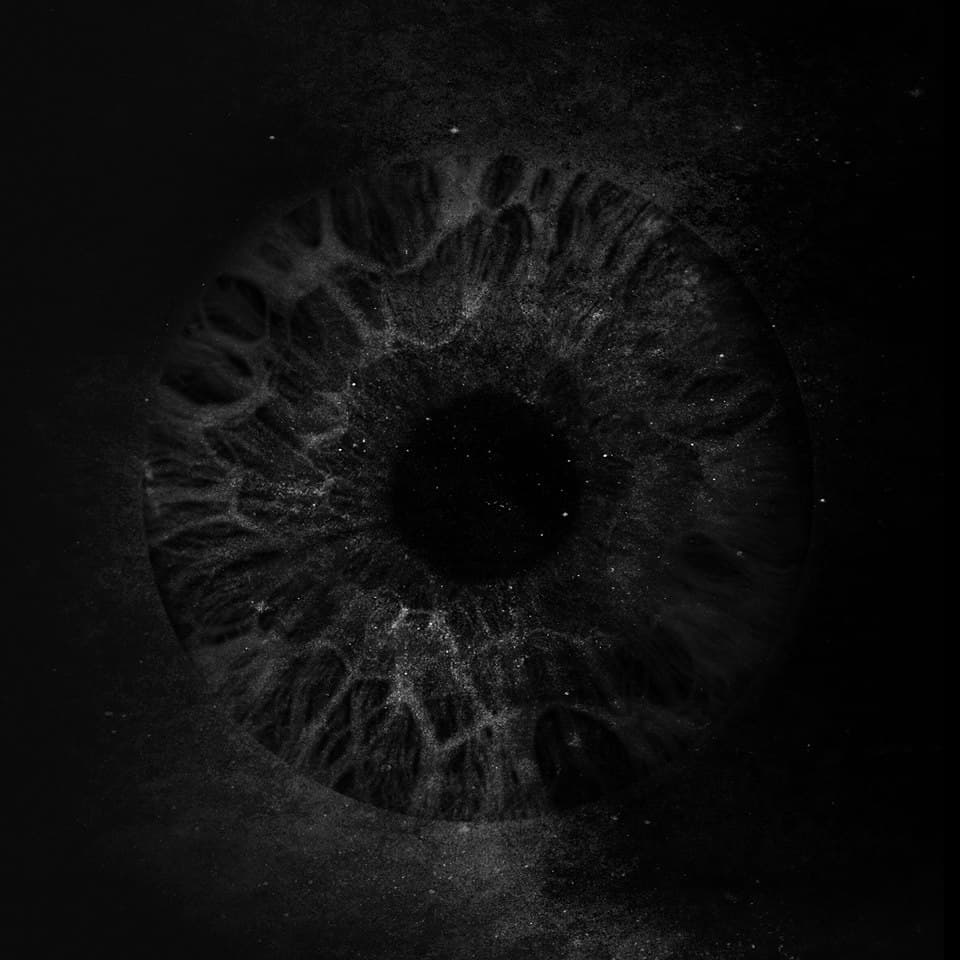 Chien noir