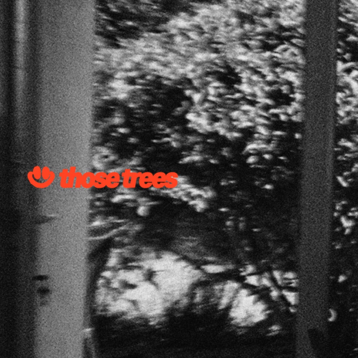 those trees