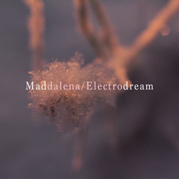 Electrodream