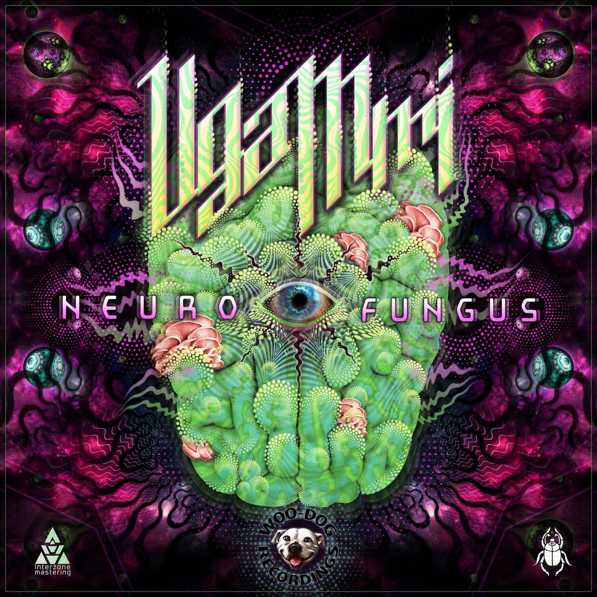 Neuro Fungus