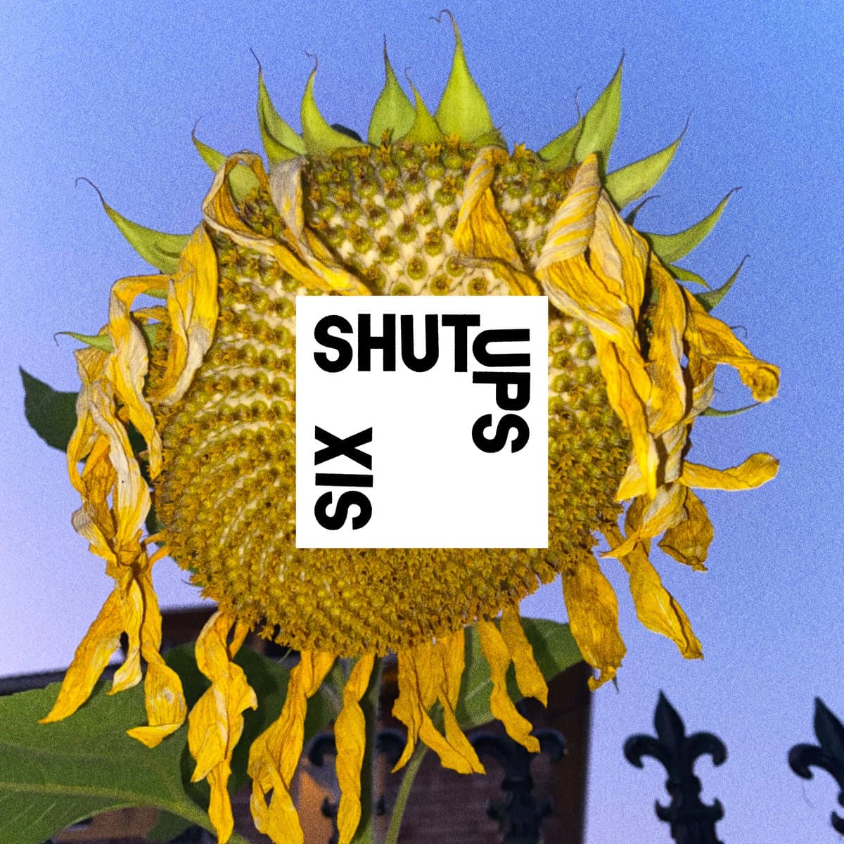 Six