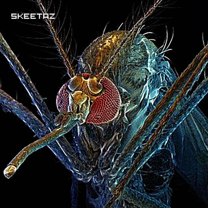 Skeetaz EP