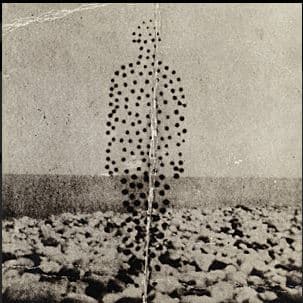Beme Seed