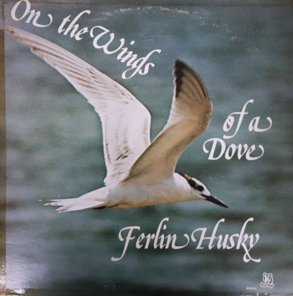 On the Wings of a Dove