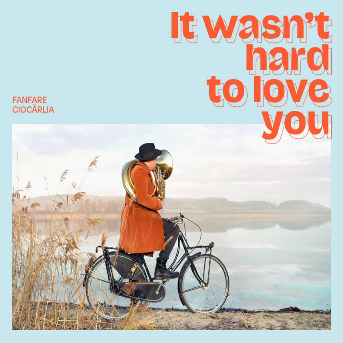 It Wasn't Hard To Love You