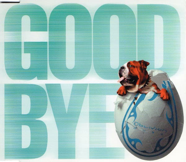 Goodbye