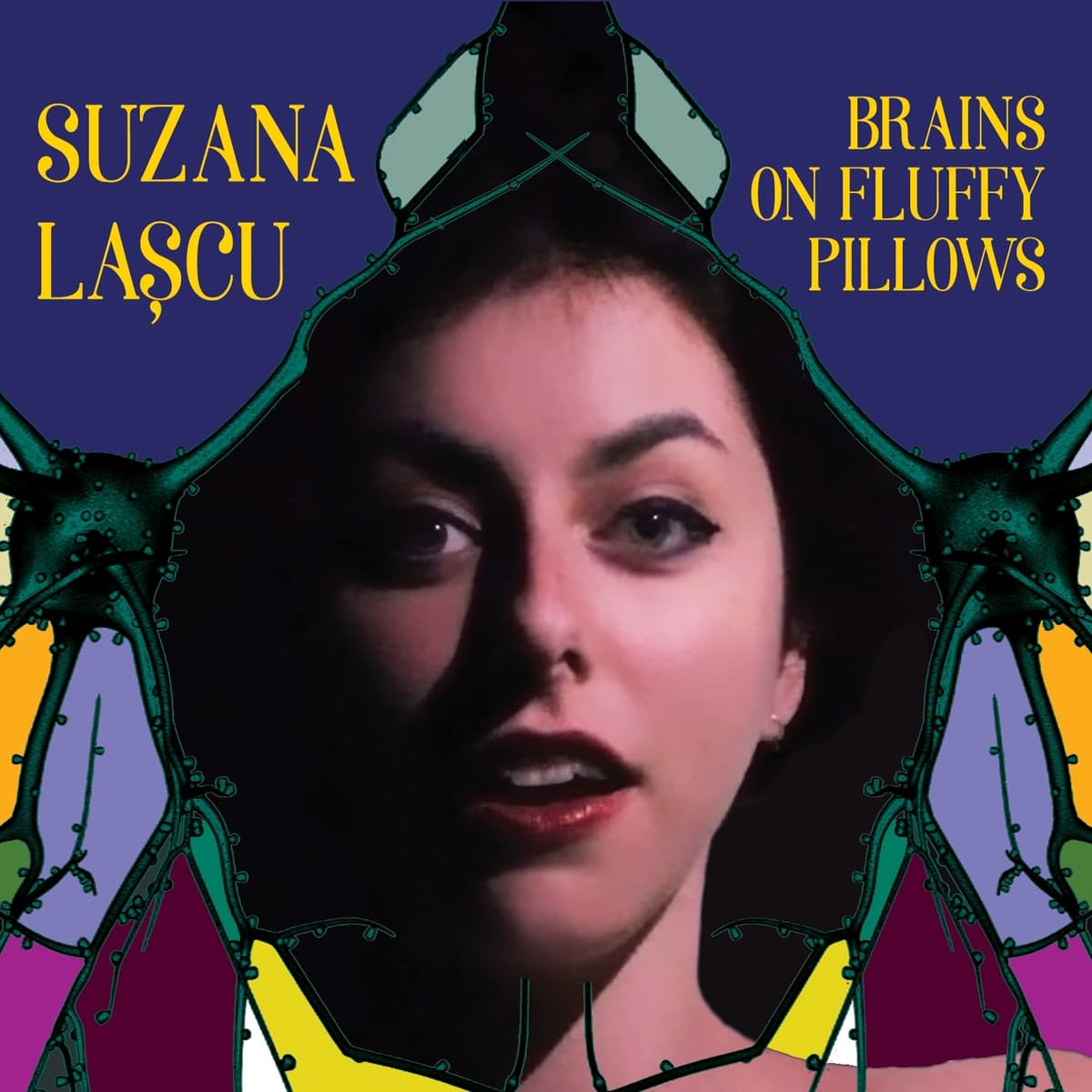 Brains On Fluffy Pillows