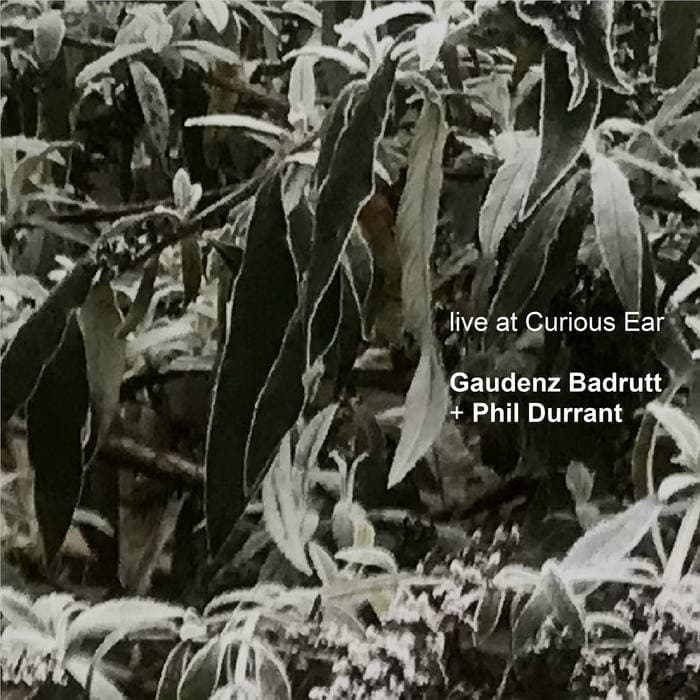 Live at Curious Ear