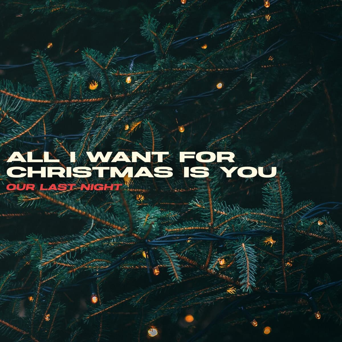 All I Want for Christmas Is You