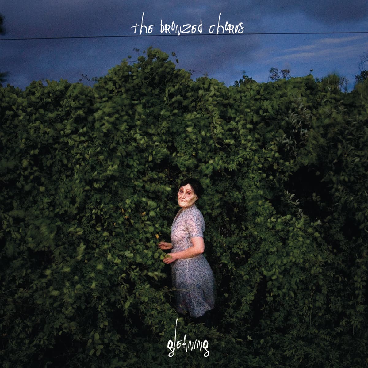 Gleaning
