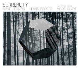 Surreality