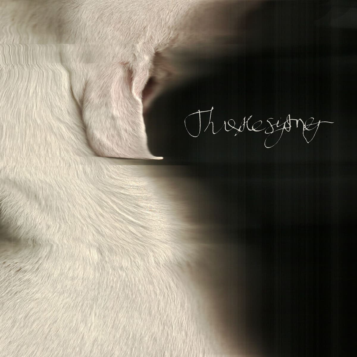 Thistlesifting