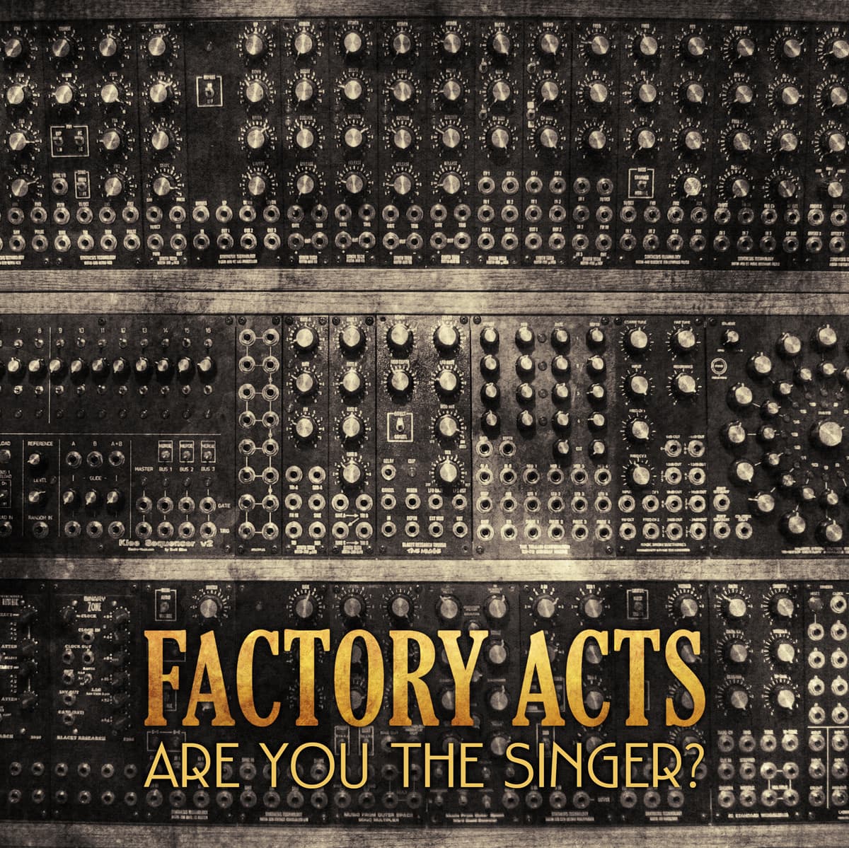 Are You the Singer?