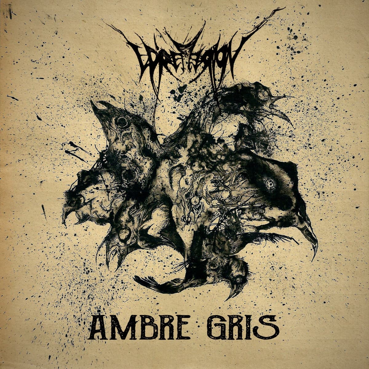 Ambre gris