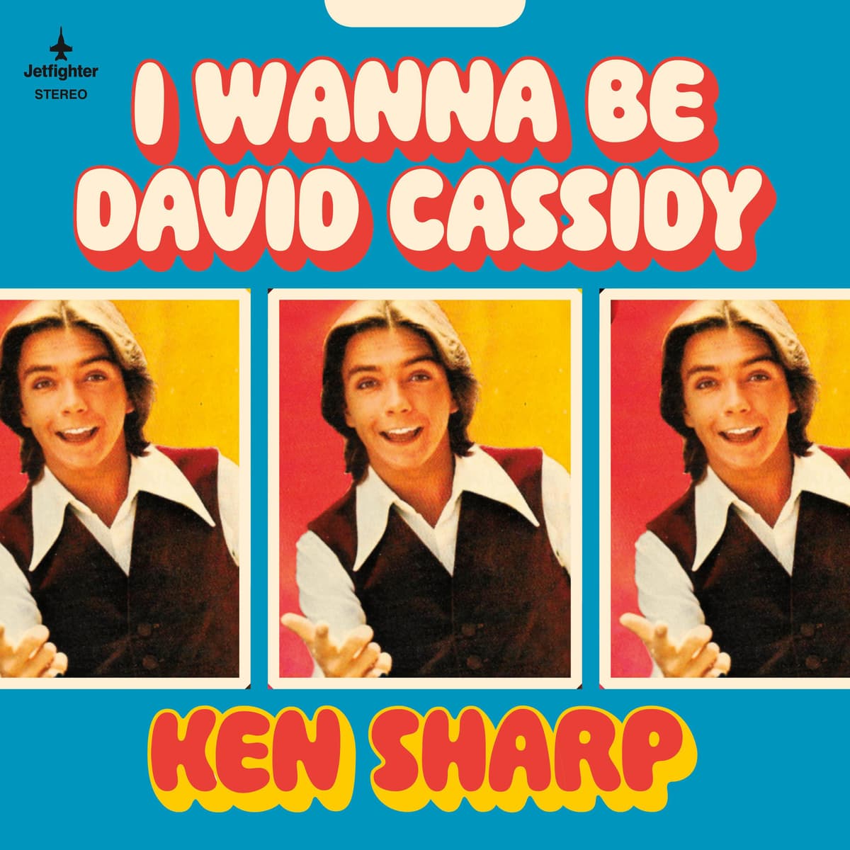 I Wanna Be David Cassidy