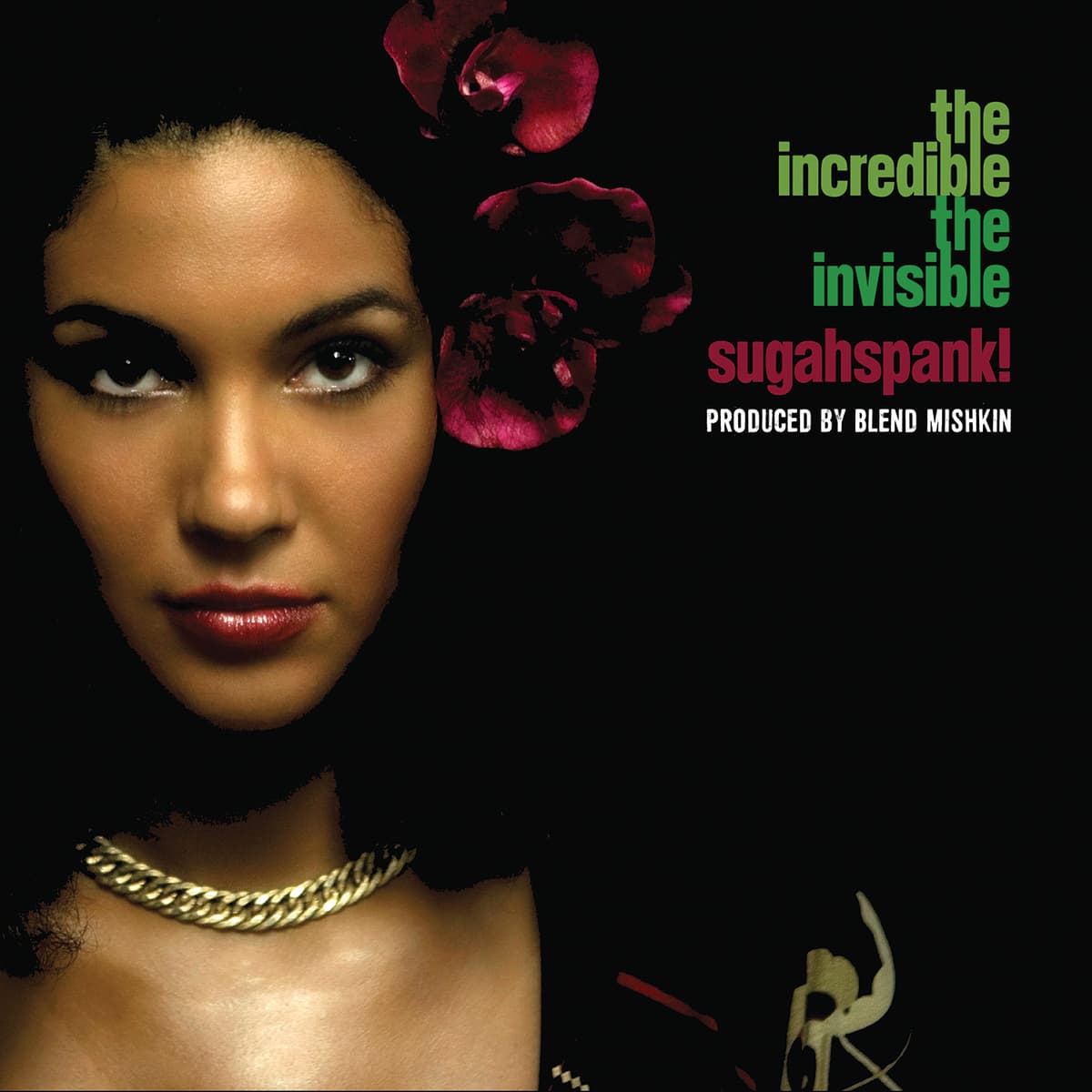 The Incredible / The Invisible