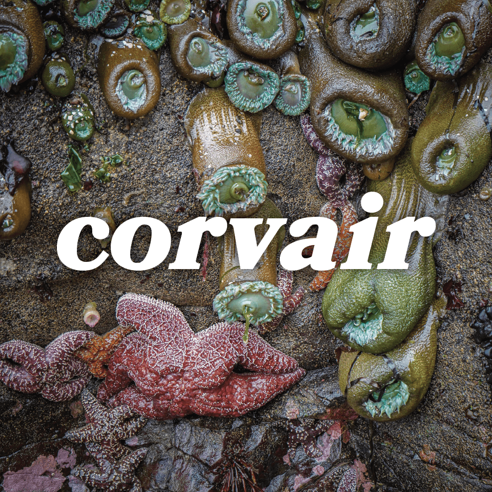 Corvair