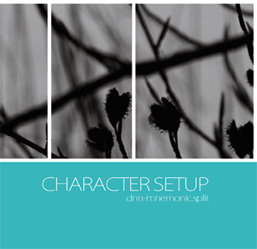 Character Setup