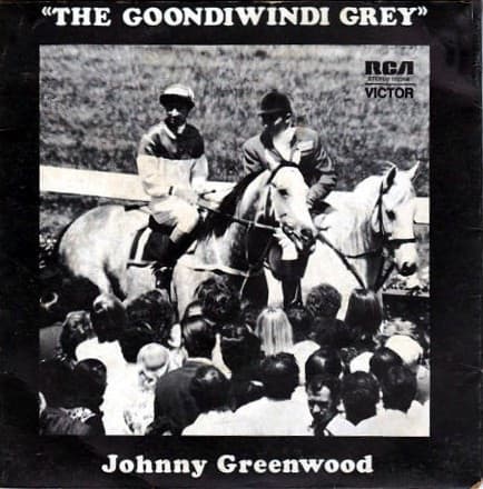 The Goondiwindi Grey