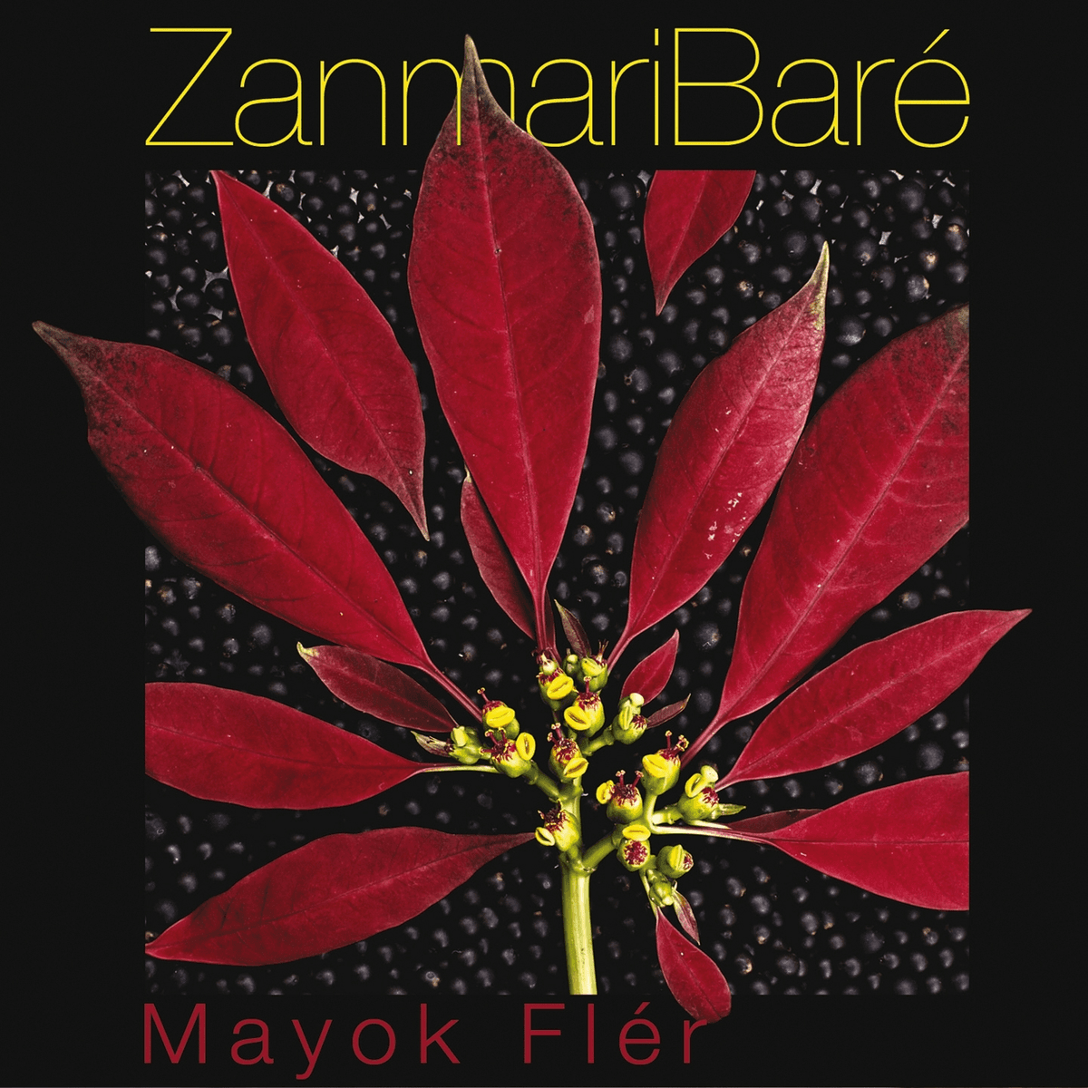 Mayok Flèr