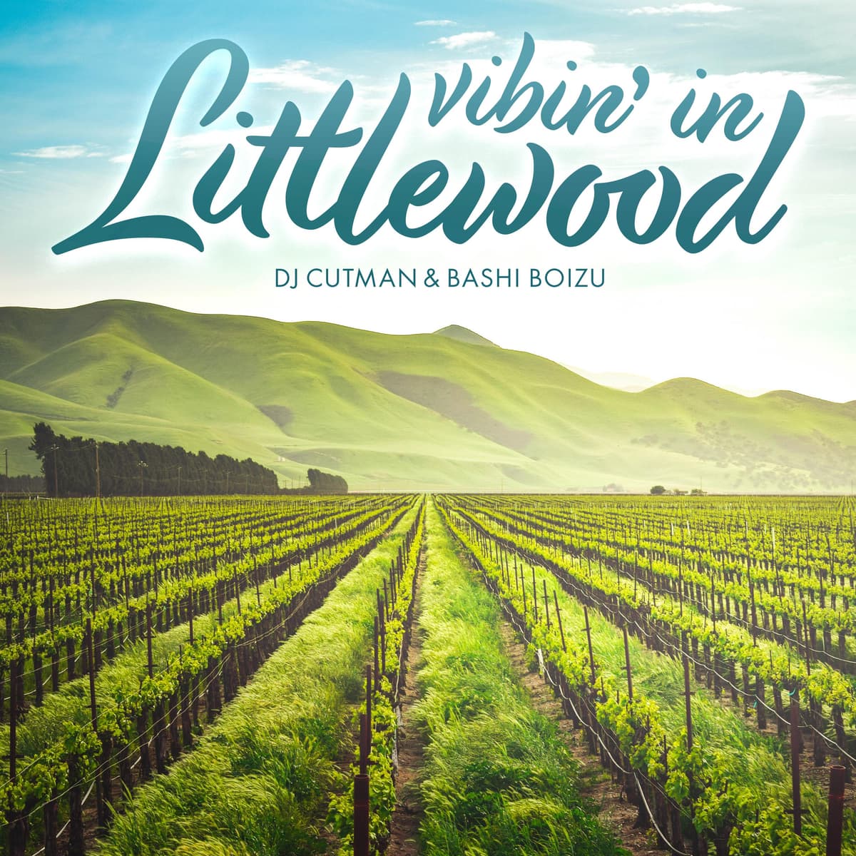 Vibin' in Littlewood