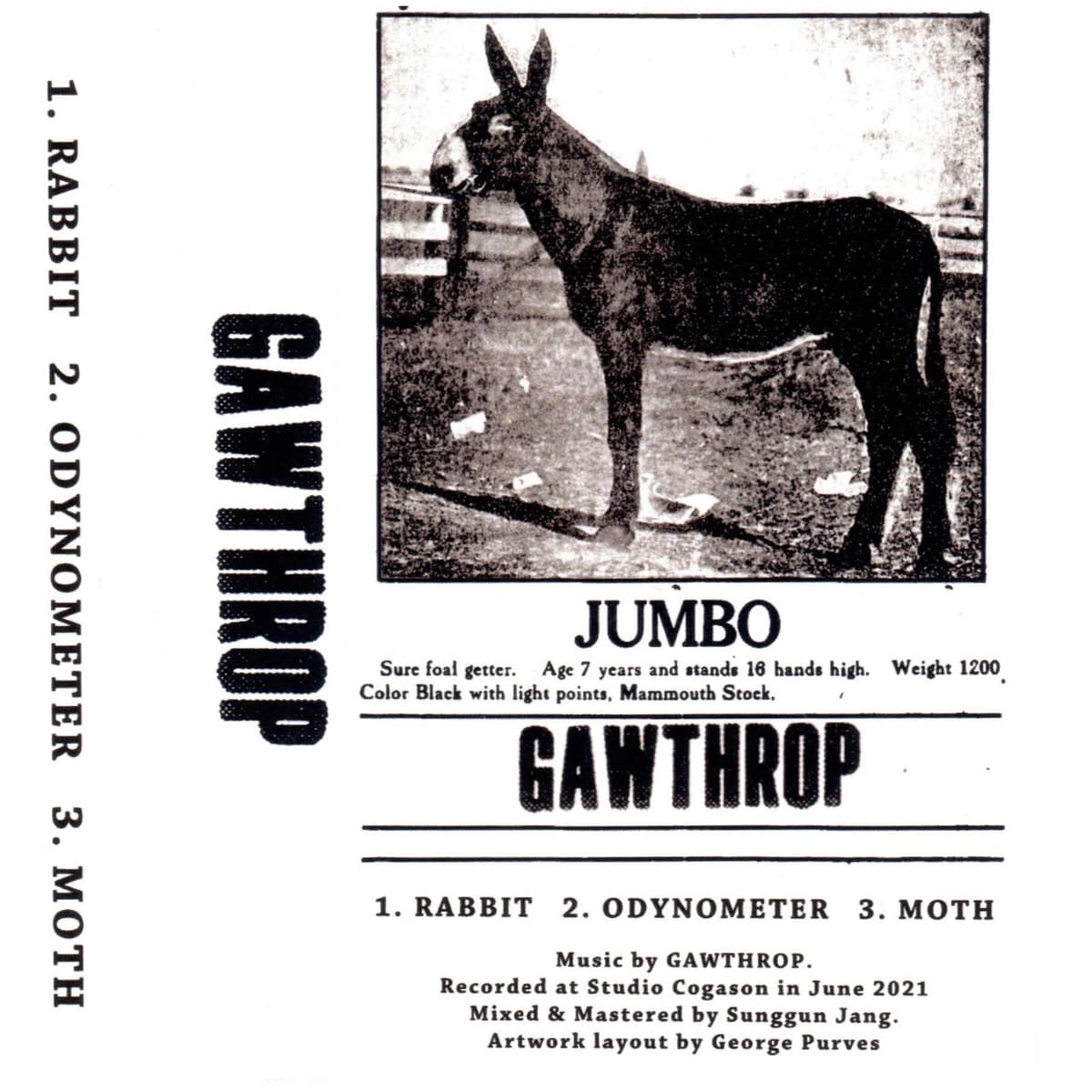 JUMBO