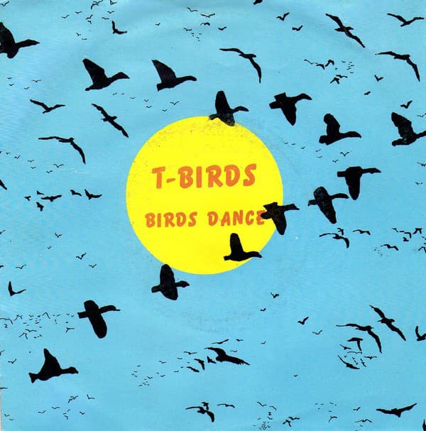 Birds Dance