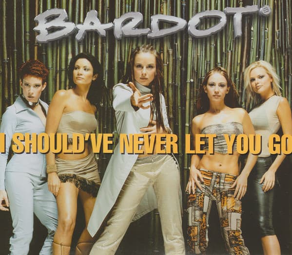 I Should've Never Let You Go