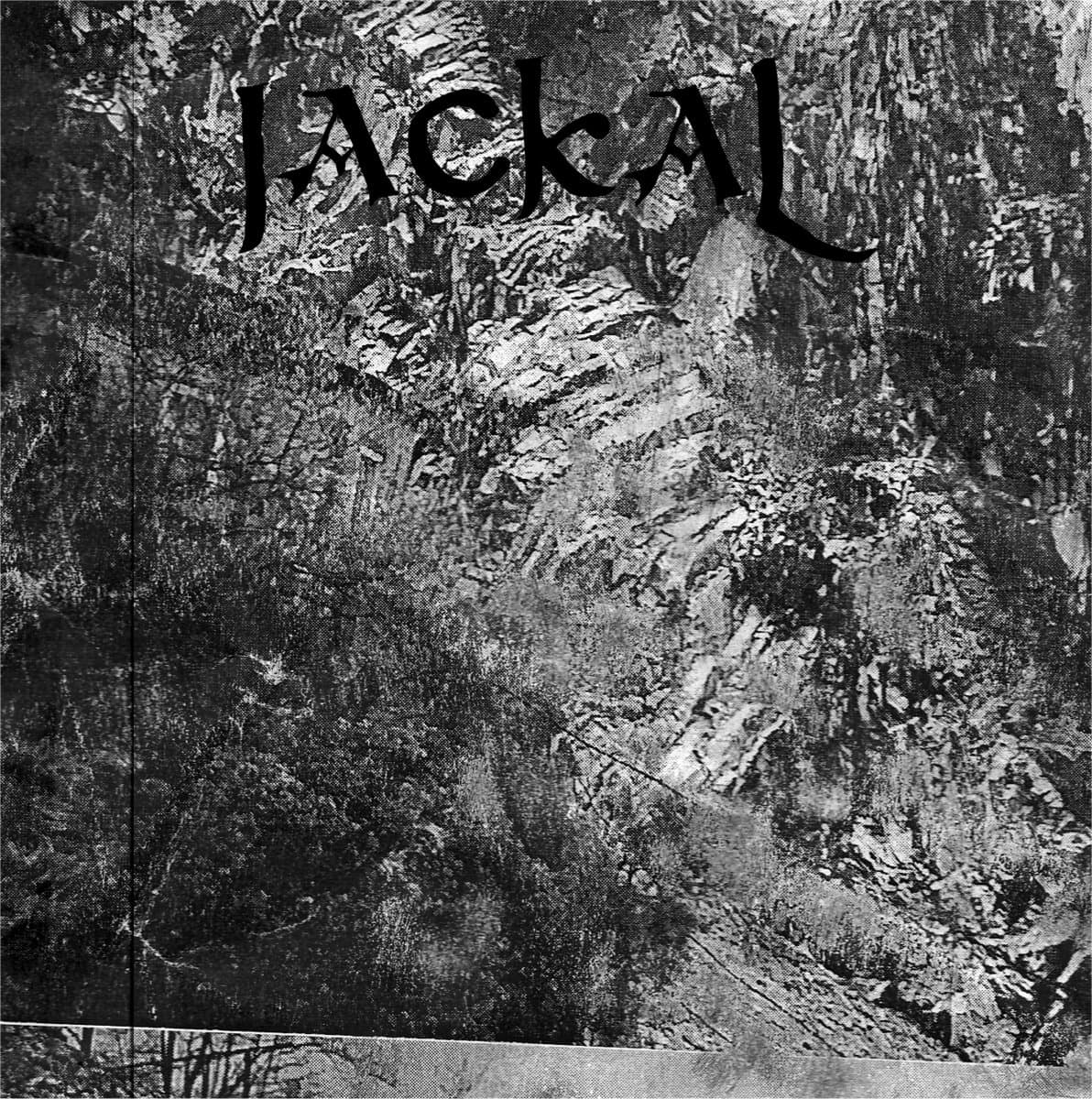 Jackal