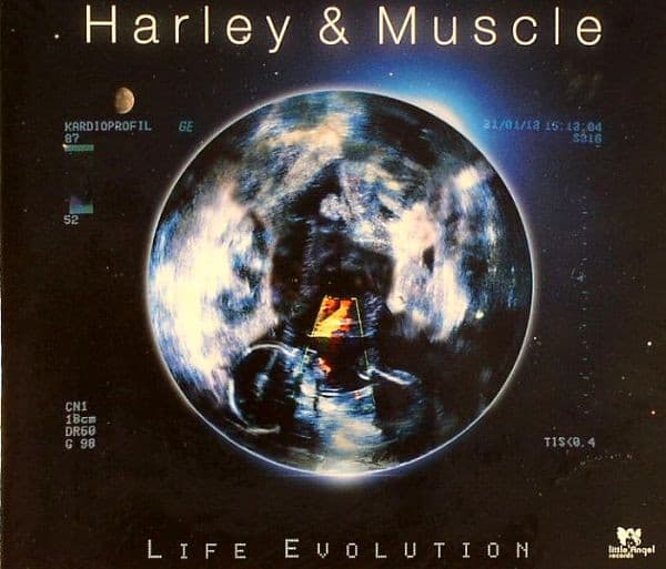 Life Evolution