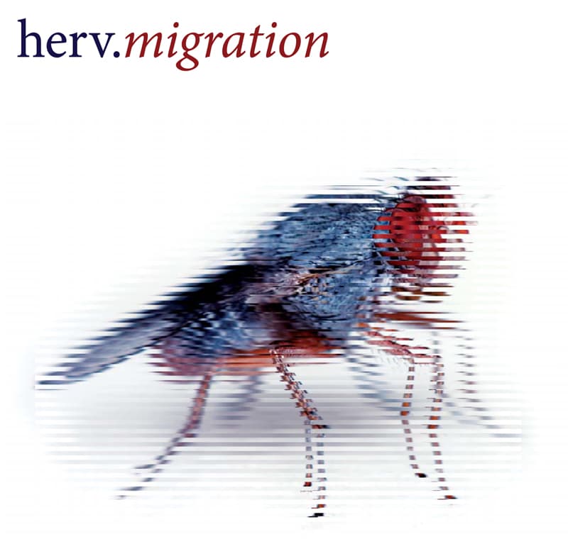 Migration